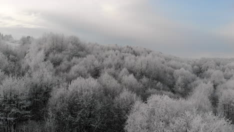 fantastic aerial winter landscape view, tree tops in frost, frozen forest