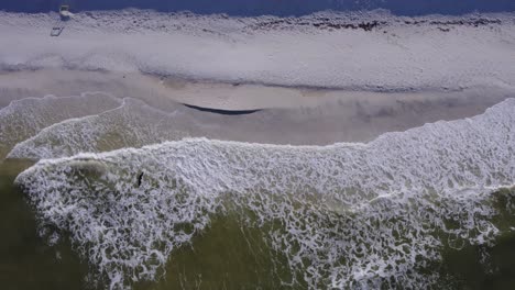 Looking-straight-down-at-waves-hitting-a-sand-beach-and-an-osprey-flies-through-center-of-frame