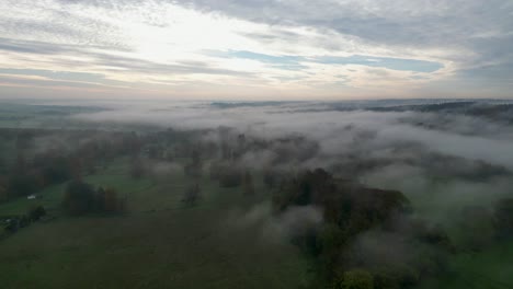 flying over a forest with fog lingering between the trees and over the fields