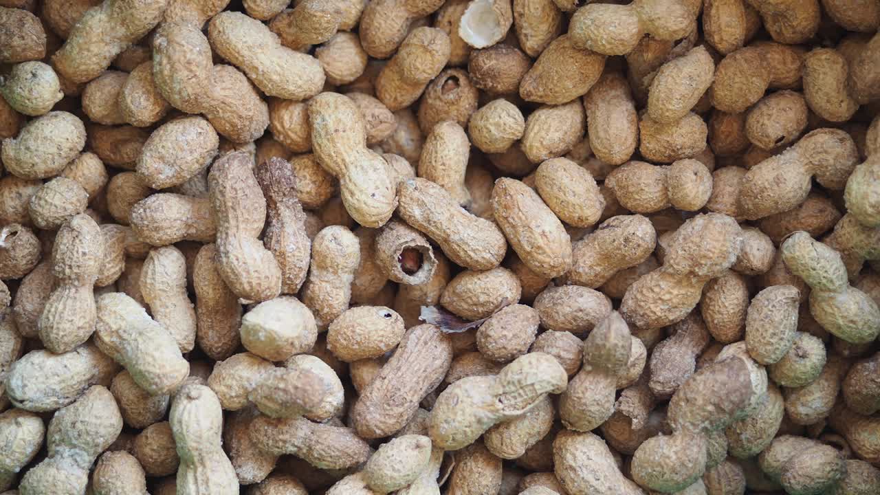 데기 속 에 있는 땅콩 의 클로즈업