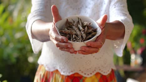 Woman-Holding-Dry-Pigeon-Peas-On-Bowl---Close-Up