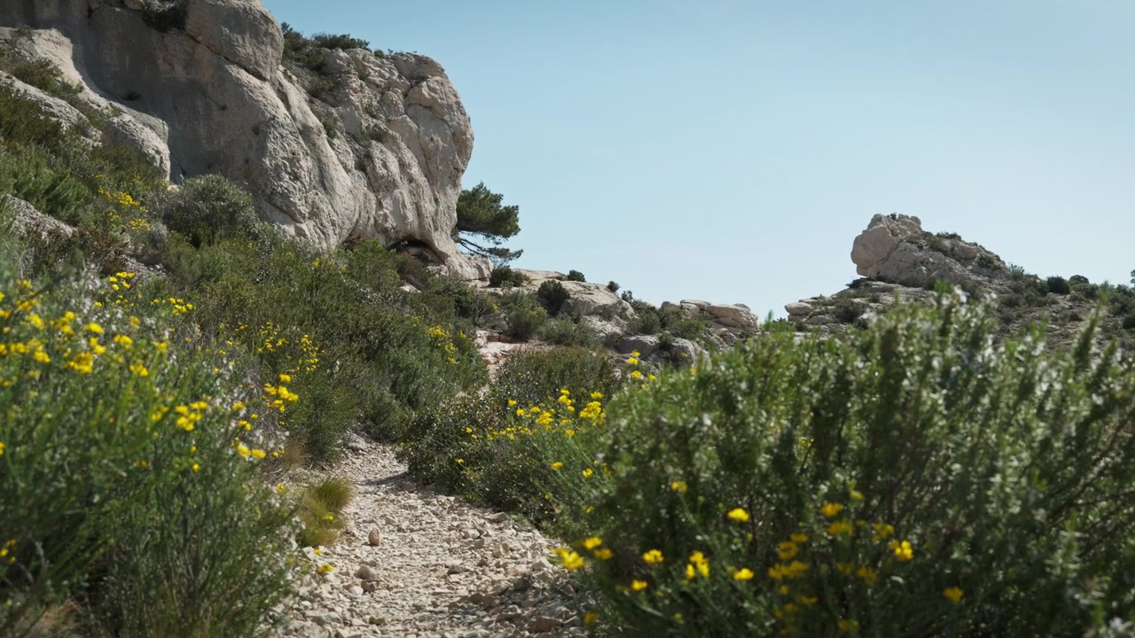 Uno stretto sentiero escursionistico attraverso il Parco Nazionale delle Calanques in Francia. Le variegate e ripide scogliere calcaree modellano il paesaggio. Piante e alberi colorati creano un contrasto con il cielo blu