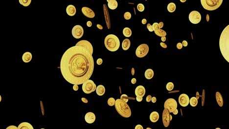 piratería cráneo cibercrimen y hacking moneda de oro caída bucle de lluvia