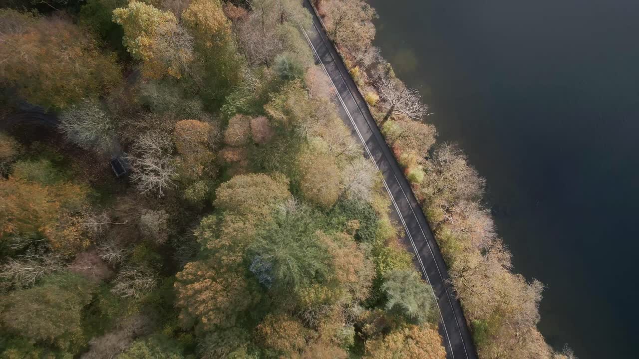 tiro de drone ascendente de la colorida y soleada escena del árbol de otoño con autos que pasan junto al lago windermere ambleside cumbria