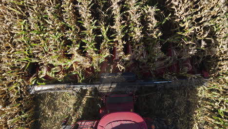 Combine-Harvester's-Threshing-Machine-Cutting-Through-Crops,-Aerial-Top-Down