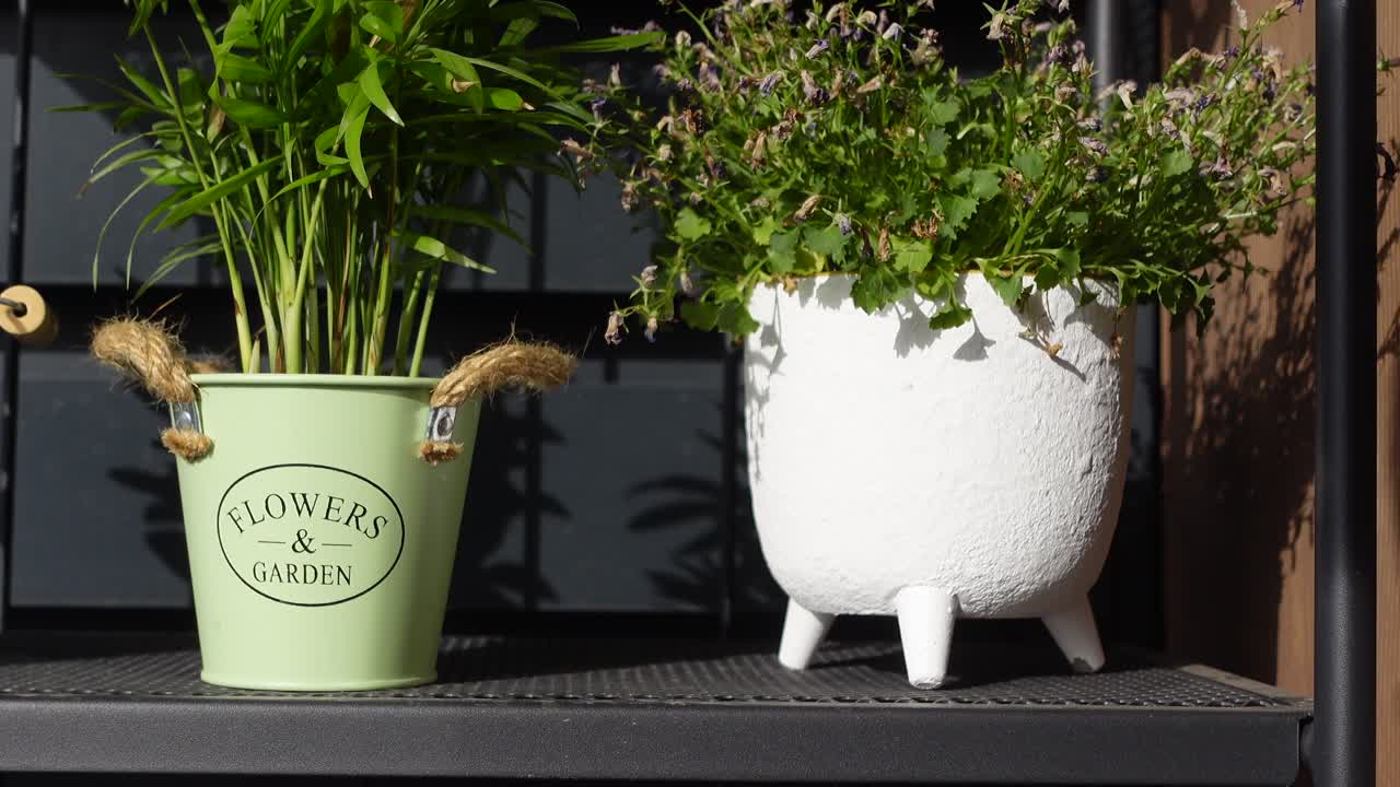 dos plantas en macetas, una en un cubo verde con las palabras flores y jardín impresas en él, y la otra en una olla blanca con tres patas. ambas plantas están en un estante de metal negro.