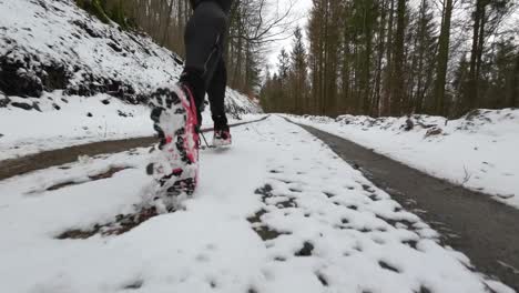 Nahaufnahme-Eines-Trailrunners-Von-Hinten,-Der-Auf-Winterlichen-Waldwegen-Auf-Und-Ab-Geht