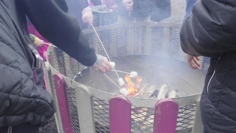 Comida-Cultural-De-Temporada,-Malvaviscos-Asados-Sobre-Llamas-Ardientes