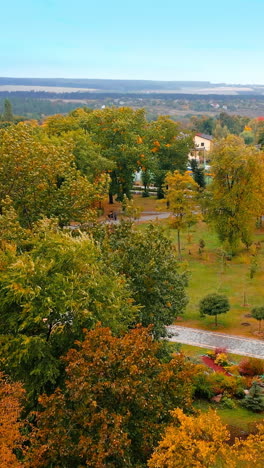 multi-colored trees swaying in the wind in the city park. beautiful nature in autumn season from aerial view. vertical video