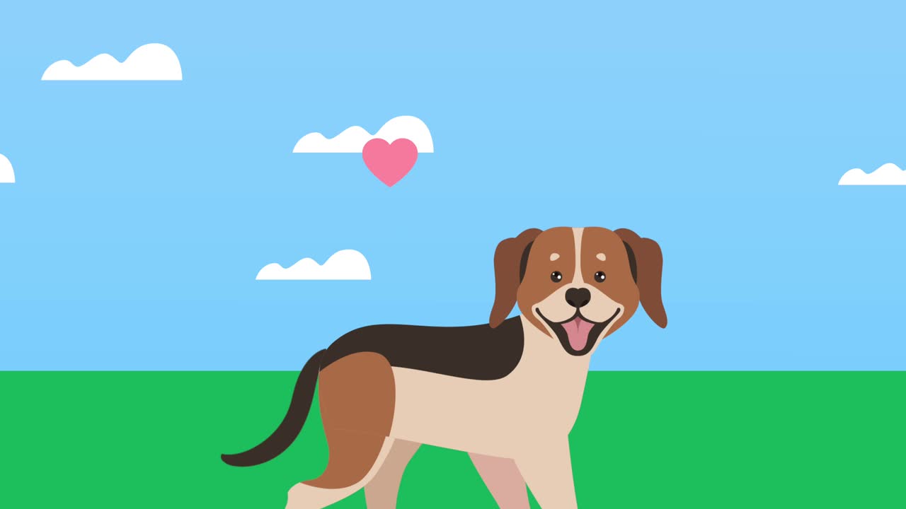 linda mascota beagle caminando con el corazón en el campamento