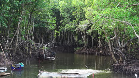 Clumsy-monkey-falls-from-tree-in-water,-Thailand-mangrove-jungle-river,-static