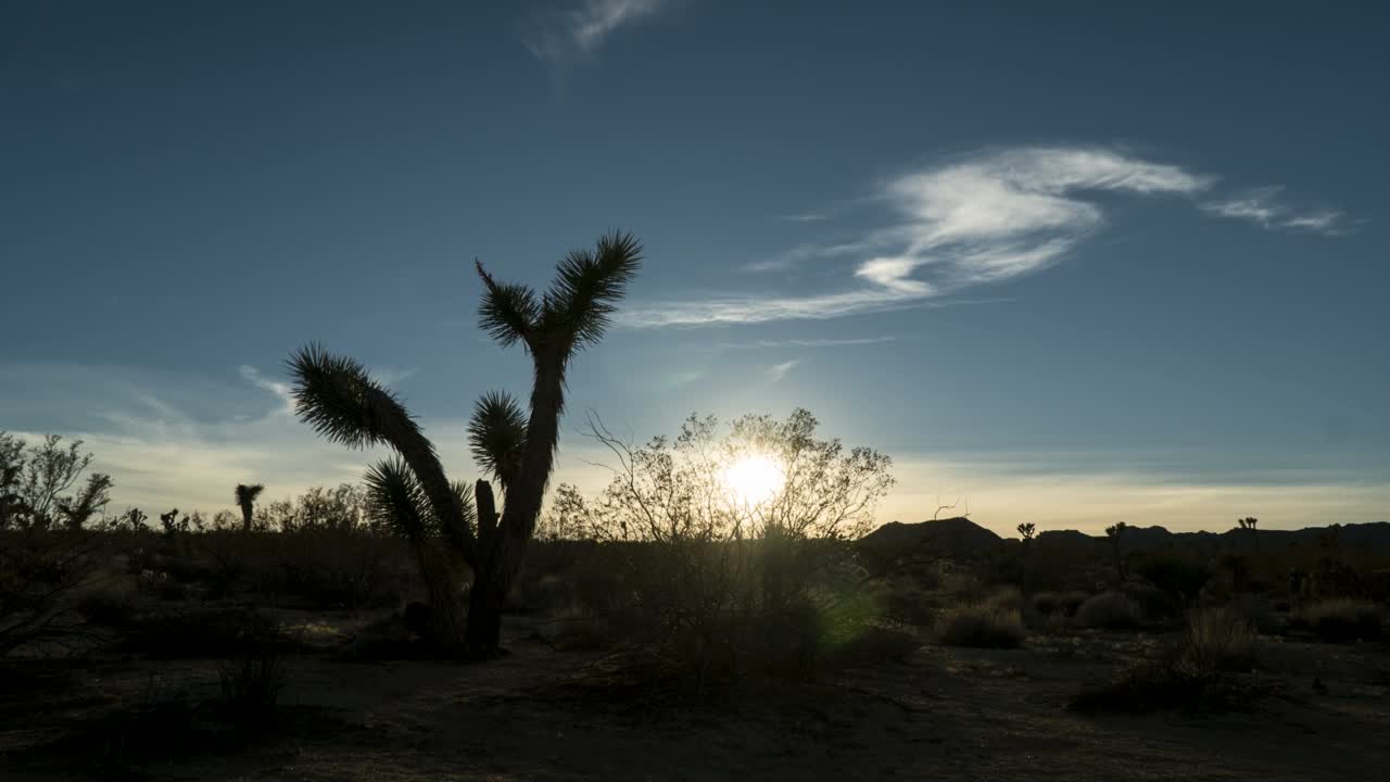 Joshua Tree Sunset Time lapse