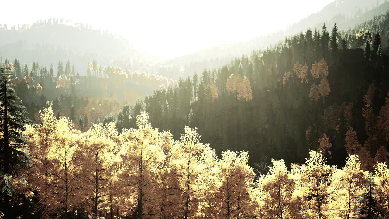 가을 숲 산 풍경