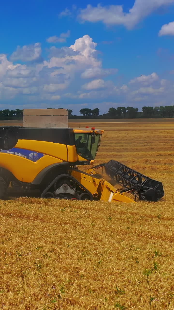 Yellow bulldozer harvesting in field. Aerial drone shot of yellow combine harvesting crop. Vertical video
