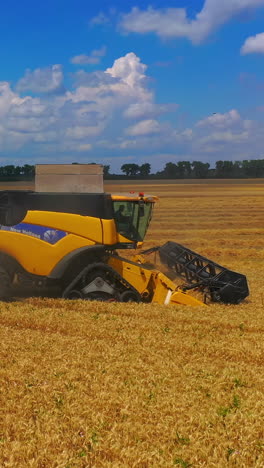 yellow bulldozer harvesting in field. aerial drone shot of yellow combine harvesting crop. vertical video