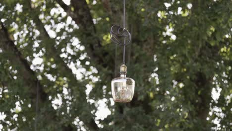 outdoor hanging lightbulb with a tangled cord against a tree backdrop