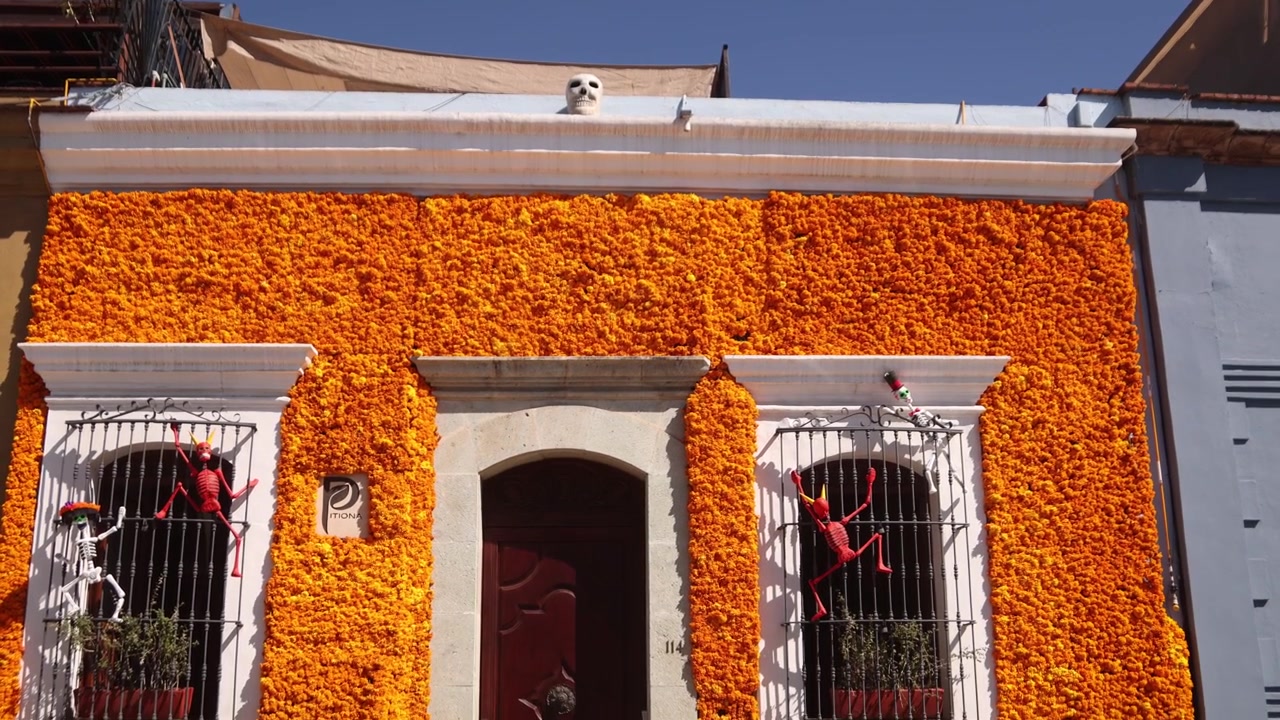 Facciata di un tradizionale edificio messicano nel centro di Oaxaca decorata con il fiore cempasúchil, o calendula messicana, che guida le anime nel Giorno dei Morti.