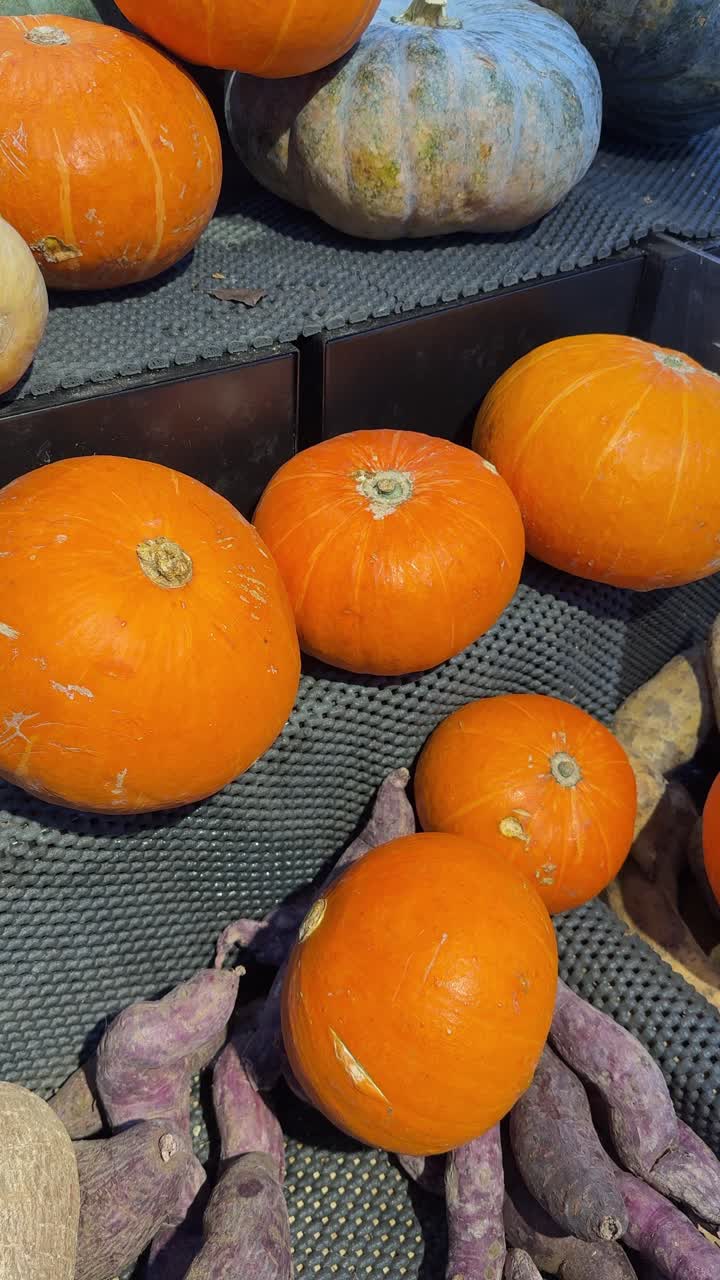 Assortment of Fresh Orange Pumpkins and Purple Sweet Potatoes on Display