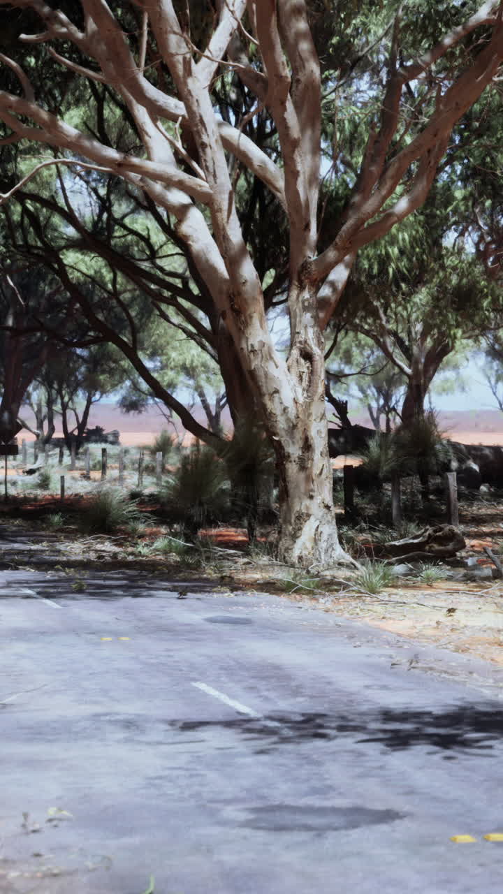 오스트레일리아 외의 경치 좋은 시골 도로