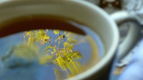 los reflejos de la naturaleza en una taza de té y de repente se quita la bolsa de té