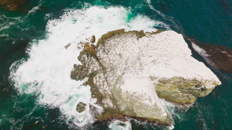 white foamy waves of aquamarine water splashing by the rock covered with salt. brown algae accumulation on top of the ocean at california coast. top view.