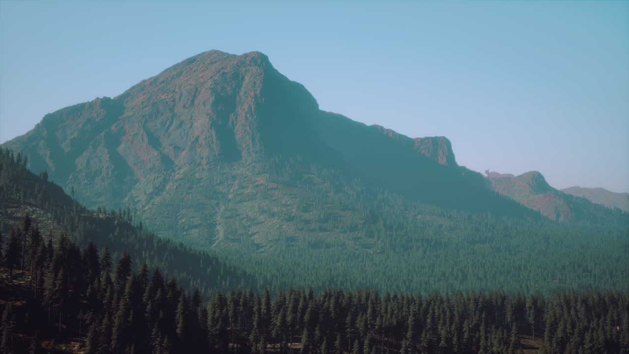 사야 산맥 앞 에 있는 느티나무 숲 에서 아름다운 해가 지는 풍경