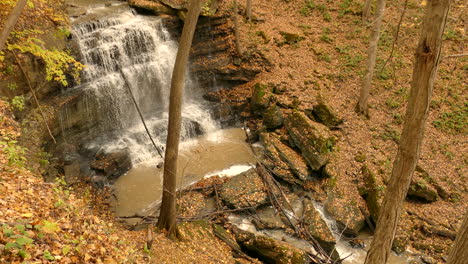a forest creek plunges down in the fall like a huge waterfall over the rocks between the falling leaves of the trees