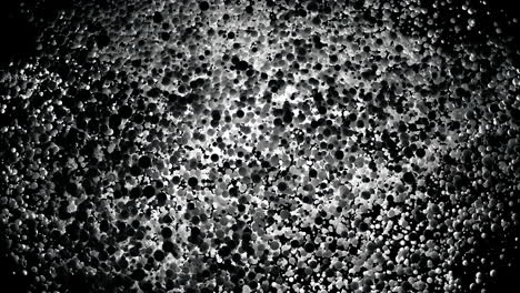 abstract black and white particle field