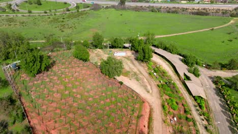 vista aérea de una plantación agrícola rodeada de exuberantes campos de pasto en casablanca, ubicación rural en chile