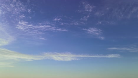 un montón de pájaros de golondrina rápida volando rápido a través de la tranquila escena del paisaje nublado del cielo azul