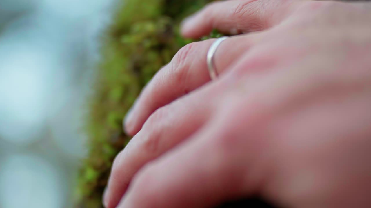 Hand with wedding ring touching green moss on tree trunk in forest. Close up detail of male hand feeling natural texture and connection with nature in slow motion