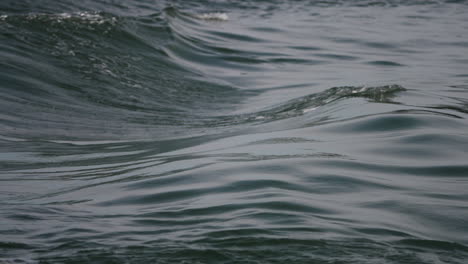 Suaves-Y-Relajantes-Olas-Del-Océano-En-Cámara-Lenta