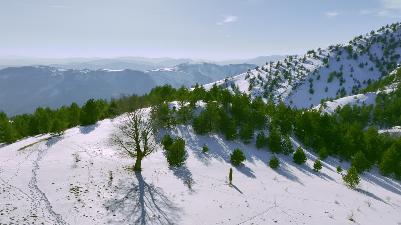 Scenic Winter Mountain Landscape with Snow and Pine Trees