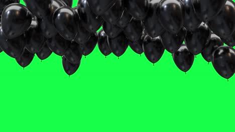 black balloons on the ceiling on a green screen background