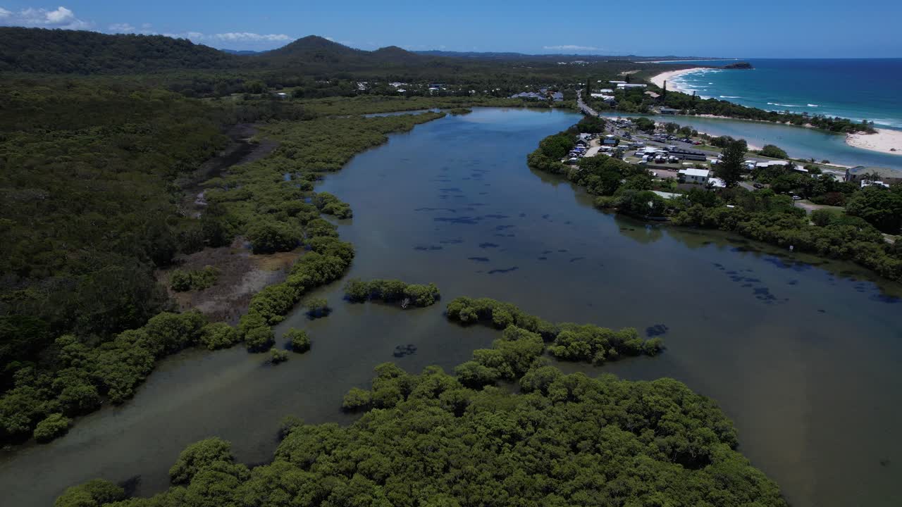Florestas de Esclerófilas Pantanosas Ameaçadas de Extinção de Cudgera Creek em Hastings Point, Nova Gales do Sul, Austrália. Plano aéreo com afastamento.