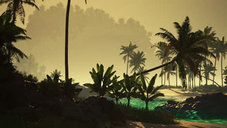tropical island paradise at sunrise/sunset