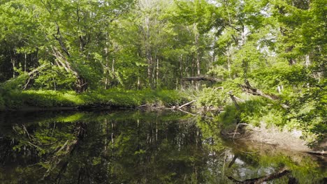 slowly gliding over river deep within lush green vegetation