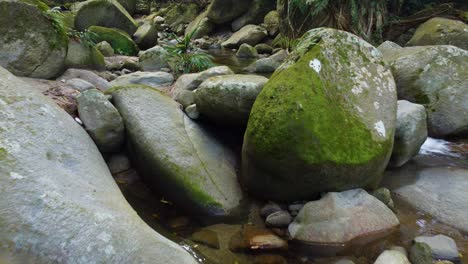 natural landscape of small river in amazonian rainforest in columbia