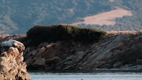 rugged islet in the middle of the sea