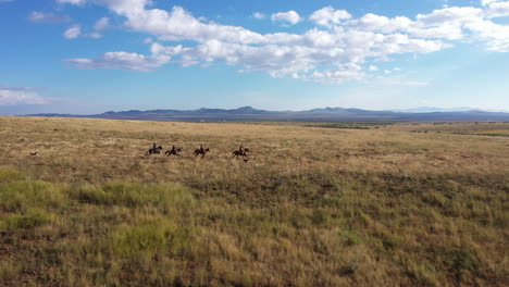 aerial shot of horse riding cowboys on a hillside