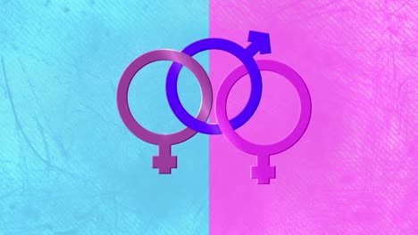 Animation-of-interlinked-male-and-two-female-gender-symbols,-identifying-bisexual,-on-pink-and-blue