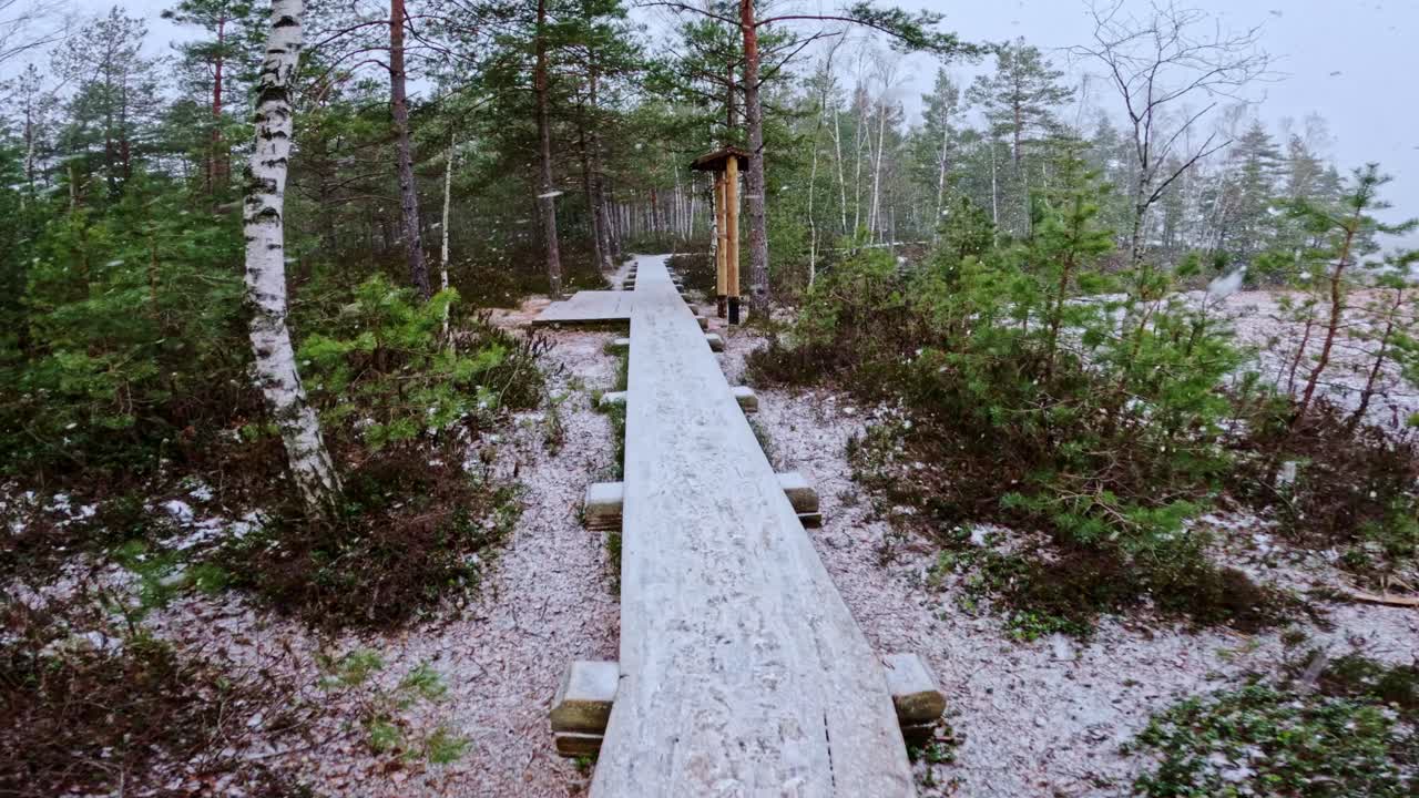 Serene snowy forest boardwalk, bridge over canal during peaceful winter moment