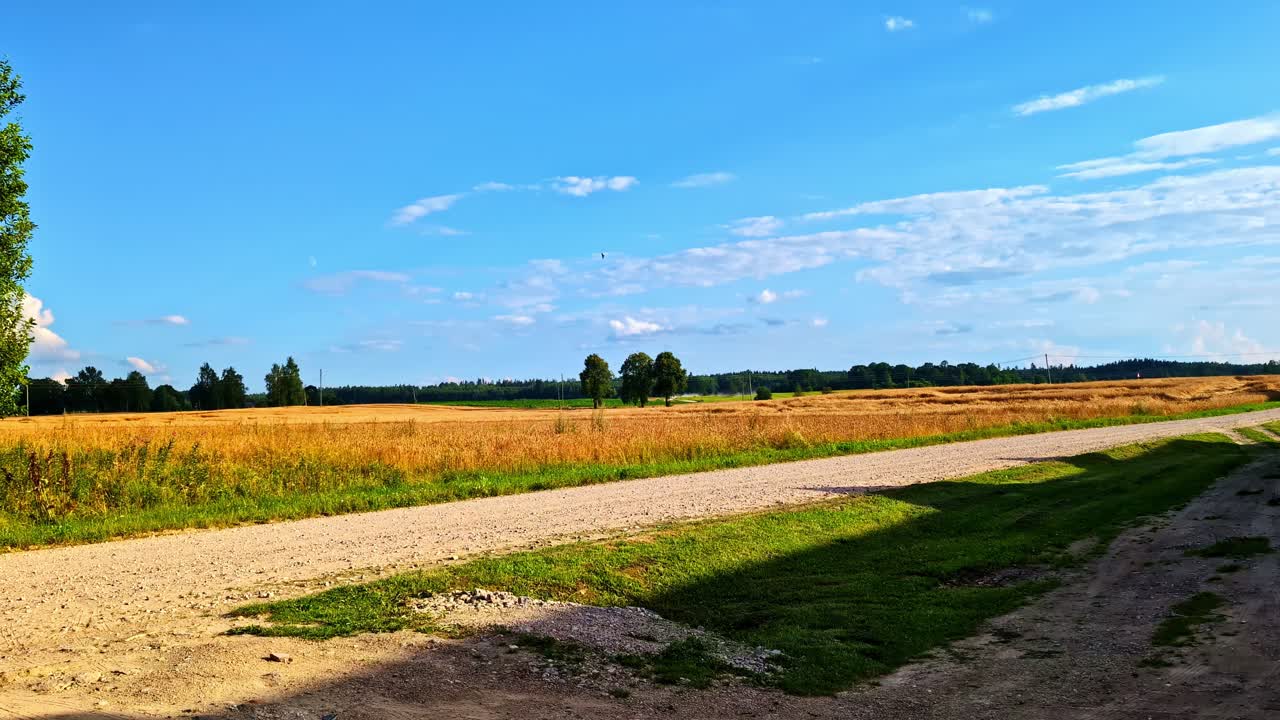 Gravel Road Passing Through Wide Summer Fields Under Clear Sky