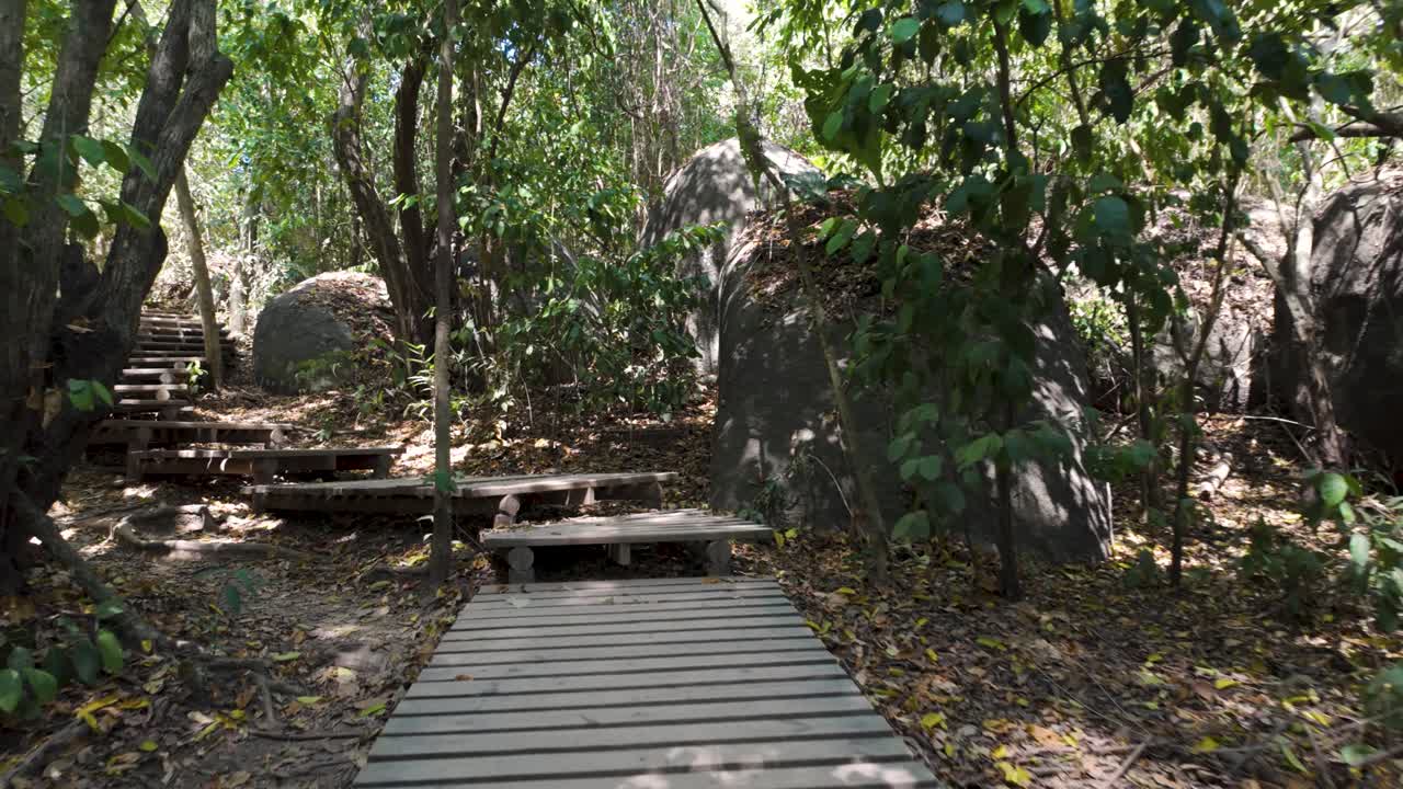 escalones de madera a través del bosque del parque nacional de tayrona, colombia