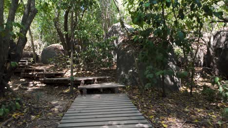 Escaleras-De-Madera-A-Través-Del-Bosque-Del-Parque-Nacional-Tayrona,-Colombia