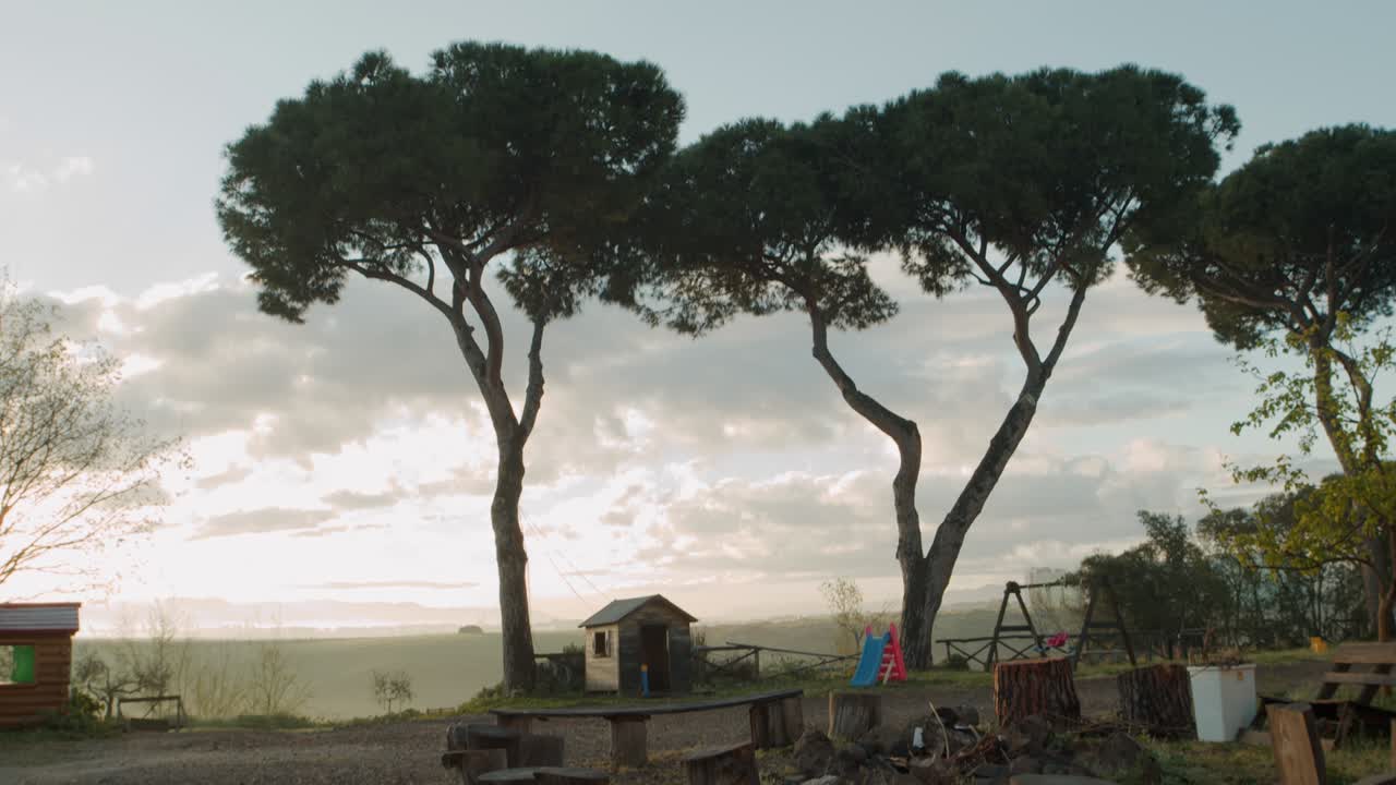 View of bench and trunks in circle