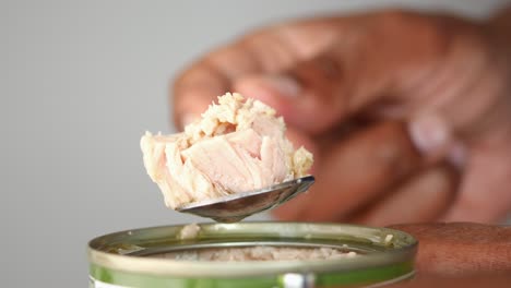 a close-up of a fork with a piece of canned tuna on it