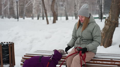 woman in green winter jacket and gray beanie sits on bench in snowy park holding red leash, interacting warmly with whippet in purple coat, snow-covered ground and bare trees in background