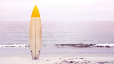 view of surfboard on the beach