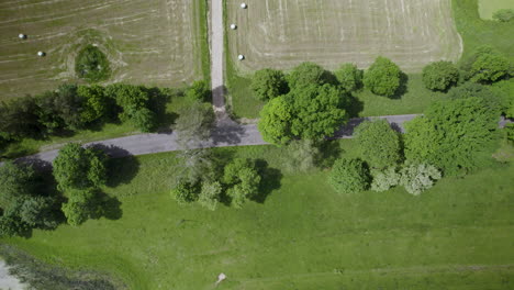 Luftaufnahme-Von-Oben-Nach-Unten,-Statische-Ansicht-Der-Landschaft,-Landstraßen-Weg-Kreuzung,-Gepflasterte-Straße-Und-Schmaler-Leerer-Fahrweg,-Vorbeifahrende-Autos-Und-Grüne-Felder-Rundherum